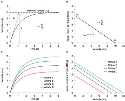 Hip Torque Is a Mechanistic Link Between Sprint Acceleration and Maximum Velocity Performance: A Theoretical Perspective